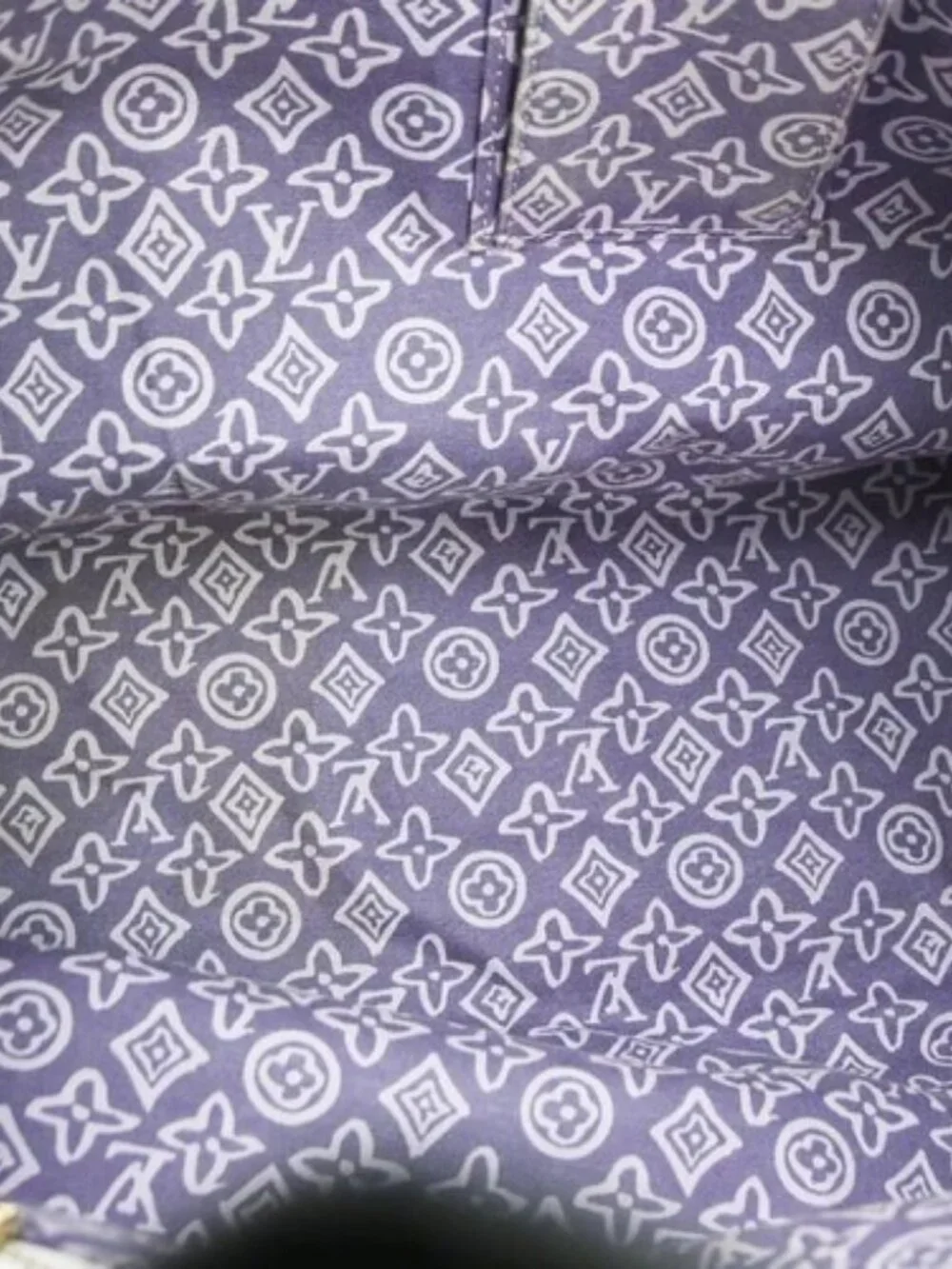 Best06 Louis Vuitton Taisienne PM Cruise Line Canvas Tote M95680 CA0078 YQ09559